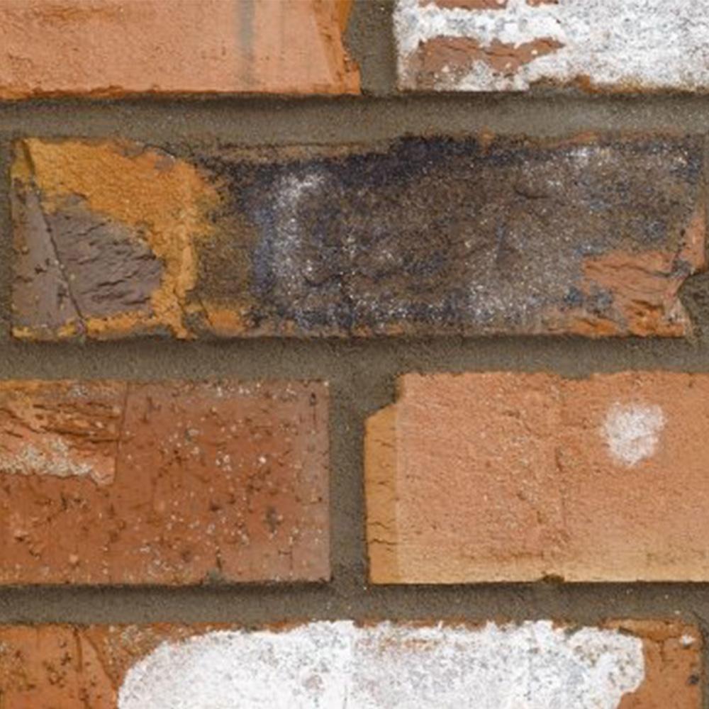 Chatsworth Multi Brick.jpg