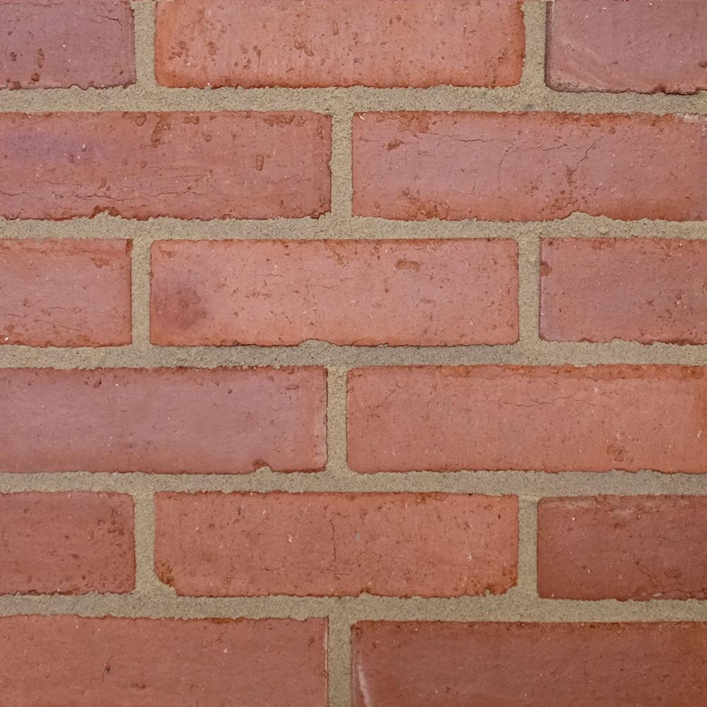 Medium Light.jpg
